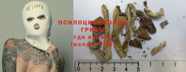 Альфа ПВП Аркадак