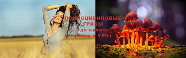 тгк Арсеньев