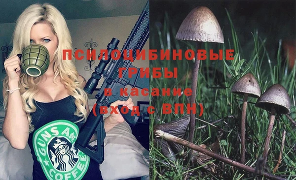 Альфа ПВП Аркадак