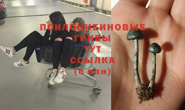 Альфа ПВП Аркадак