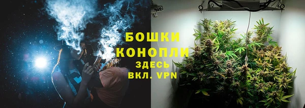 тгк Арсеньев