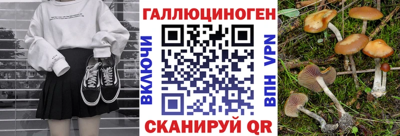 как найти наркотики  Электрогорск  Псилоцибиновые грибы Magic Shrooms 