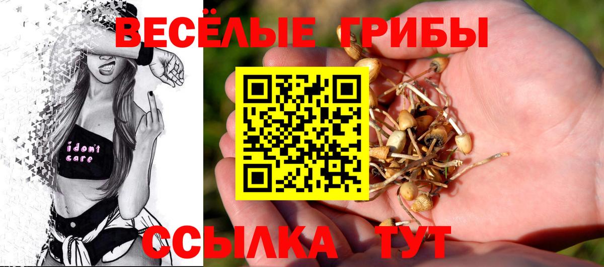 Электрогорск  закладки  Вход с VPN  Галлюциногенные грибы прущие грибы 